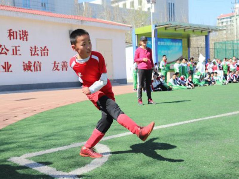 乐鱼(leyu)官网简介